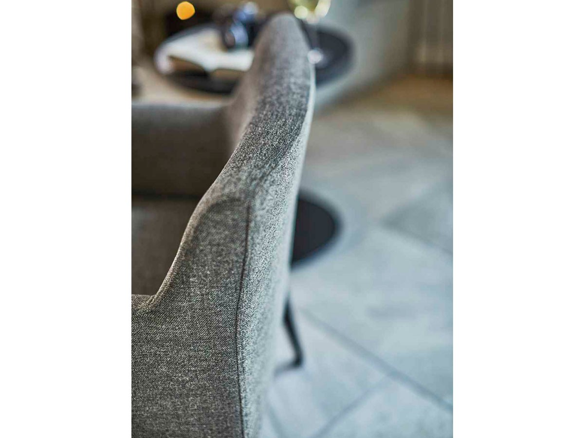 ABORD ARM CHAIR / アボール アームチェア S020-1 （チェア・椅子 > ダイニングチェア） 9