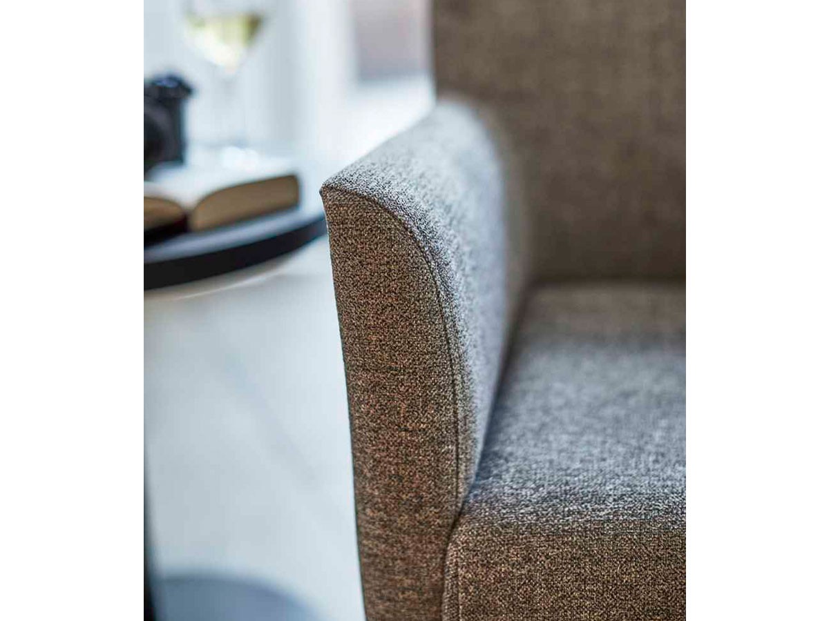 ABORD ARM CHAIR / アボール アームチェア S020-1 （チェア・椅子 > ダイニングチェア） 10