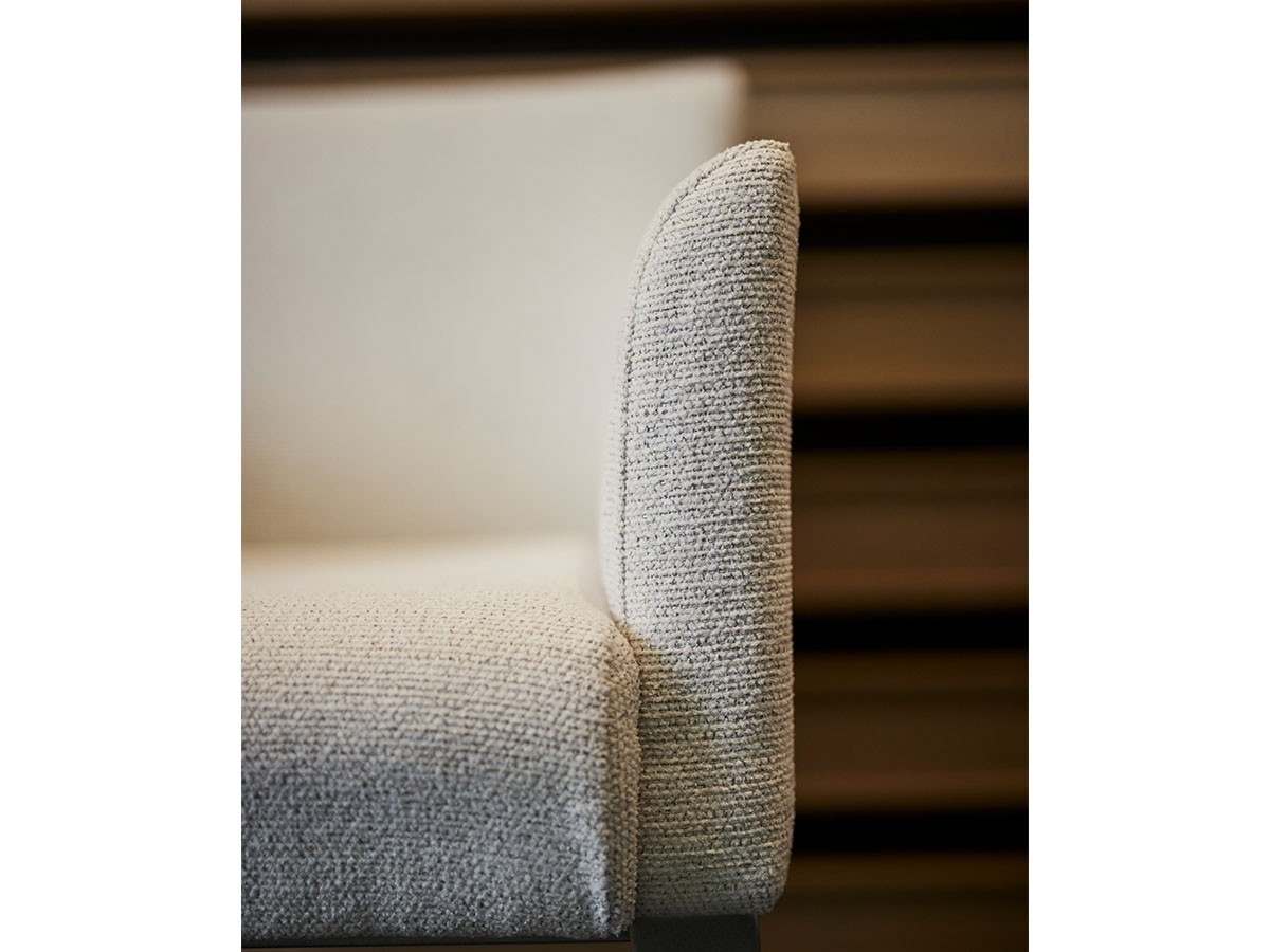 ABORD ARM CHAIR / アボール アームチェア S020-1 （チェア・椅子 > ダイニングチェア） 4