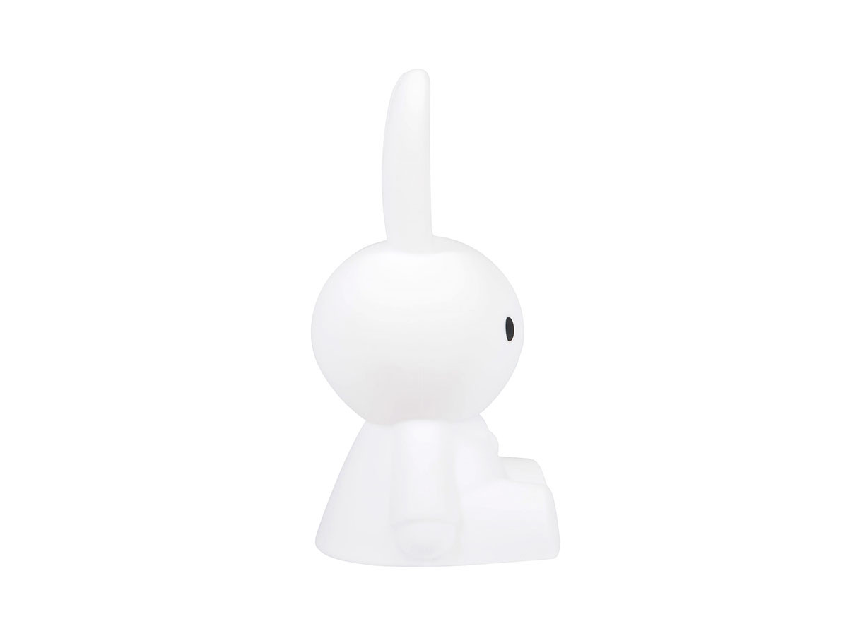 FIRST LIGHT
miffy and friends Miffy 20