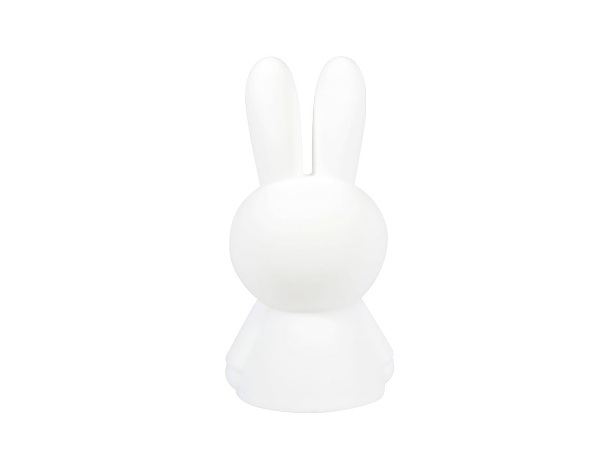 FIRST LIGHT
miffy and friends Miffy 21