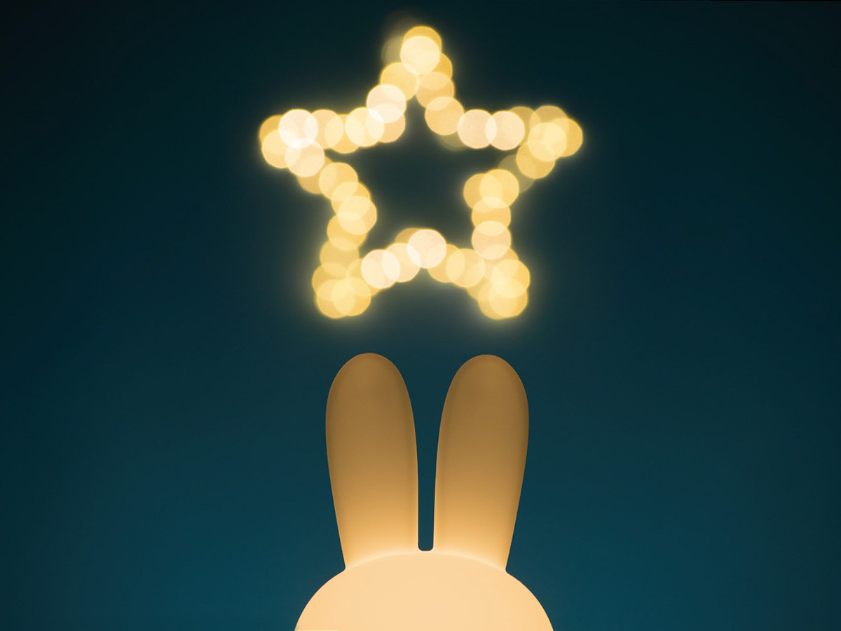 FIRST LIGHT
miffy and friends Miffy 17