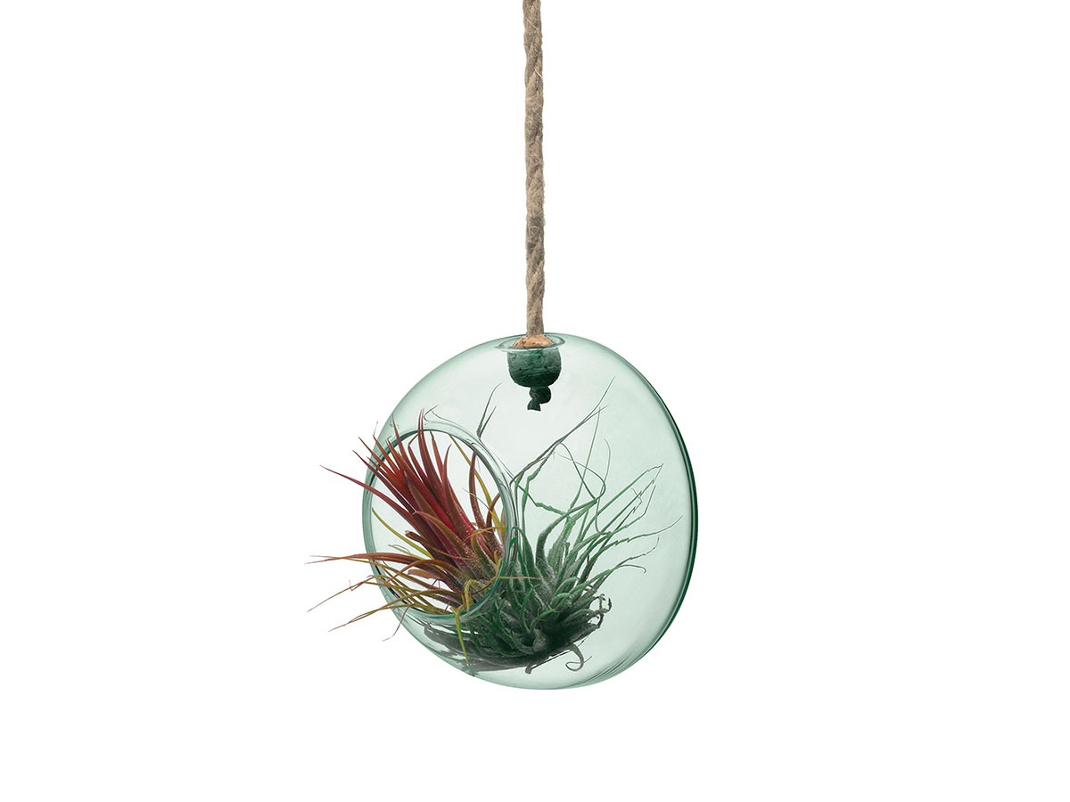 FLYMEe accessoire CANOPY HANGING PLANTER