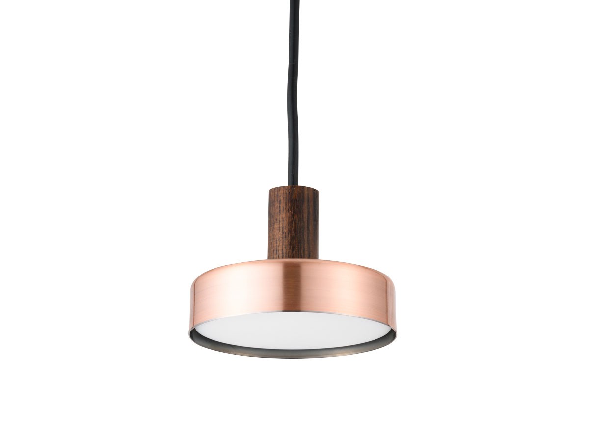 Rumani Pendant Light / ルマーニ ペンダントライト （ライト・照明 > ペンダントライト） 11