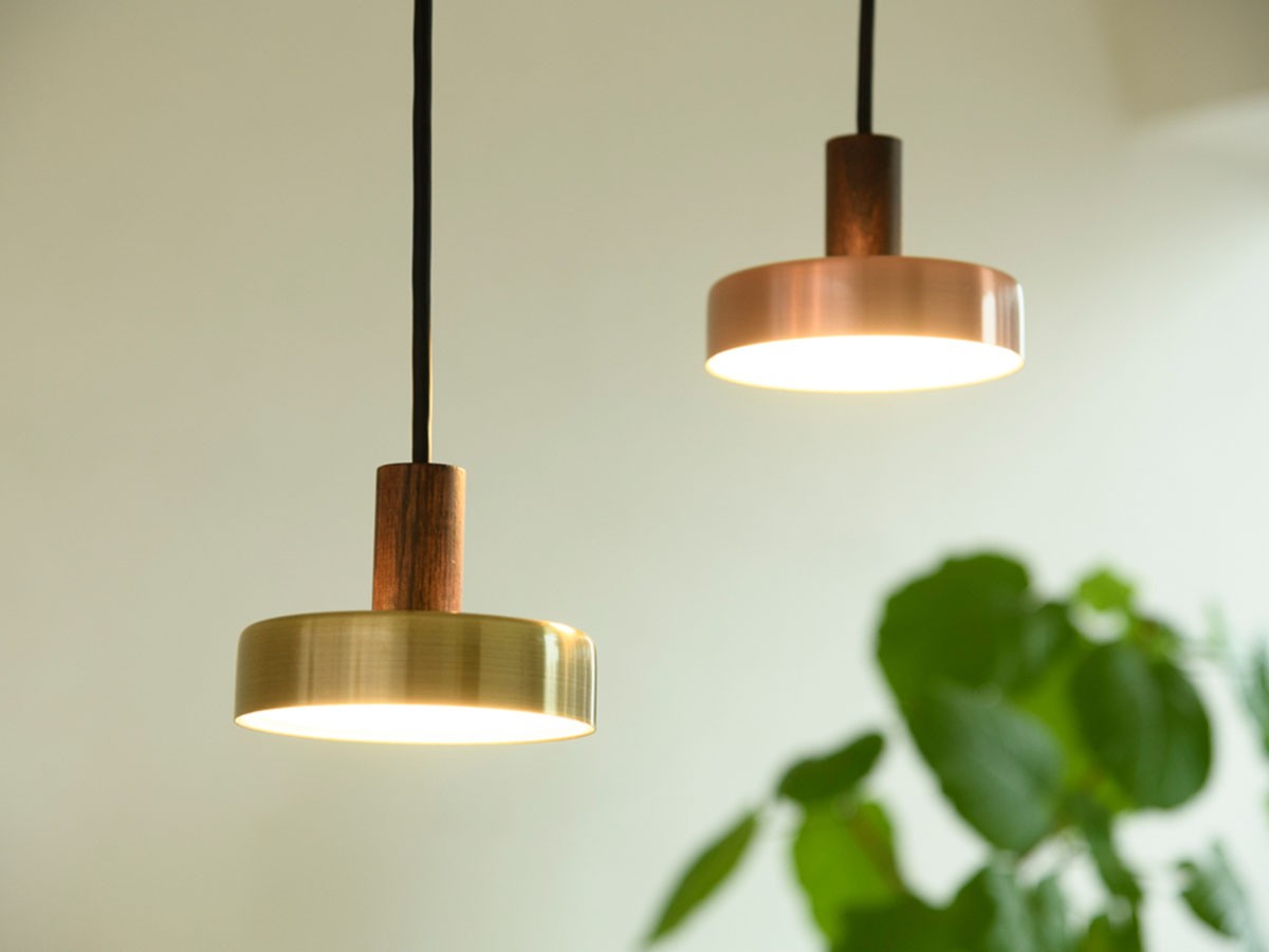 Rumani Pendant Light / ルマーニ ペンダントライト （ライト・照明 > ペンダントライト） 7