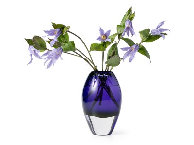 Henry Dean V.Cube / ヘンリーディーン V.キューブ（ヴェロニカ