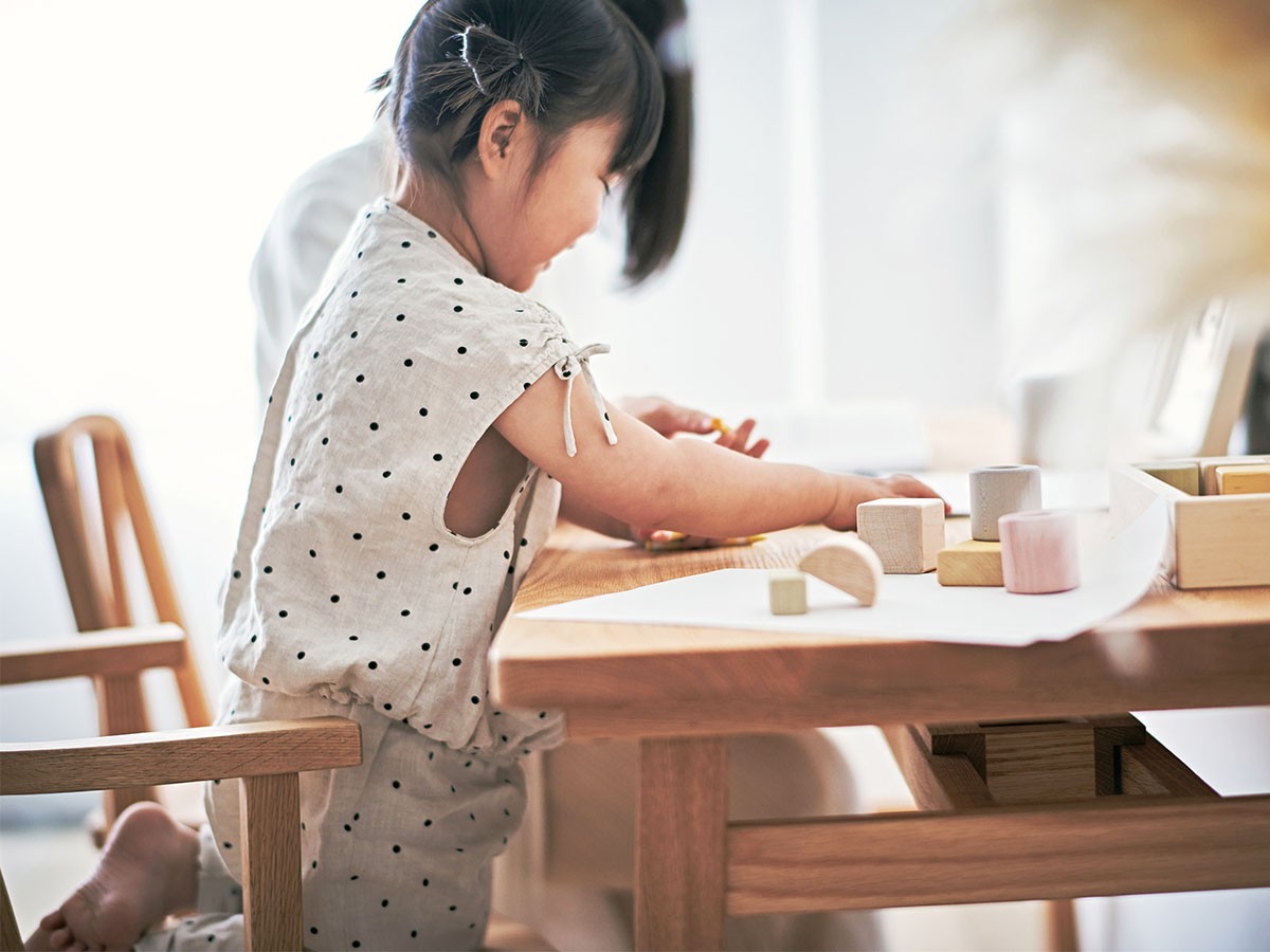 KKEITO Dining Arm chair / ケイト ダイニング アームチェア （チェア・椅子 > ダイニングチェア） 14