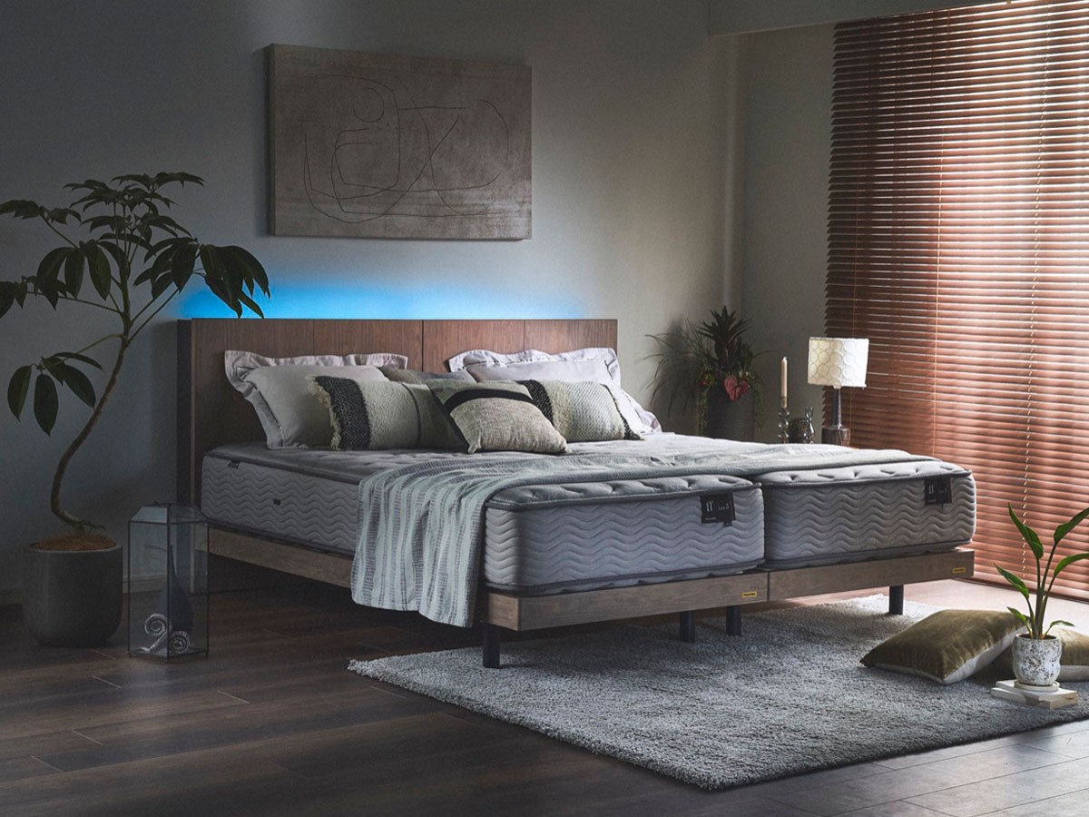 FRANCE BED LIFE TREATMENT Bed Frame / フランスベッド ライフトリートメント ベッドフレーム LT-104C （ベッド・寝具 > シングルベッド） 2