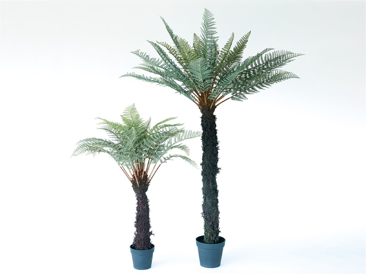 BROWN Dicksonia Pot / ブラウン ディクソニア ポット 183 （花器・プランター・グリーン > フェイクグリーン・フェイクフラワー） 4
