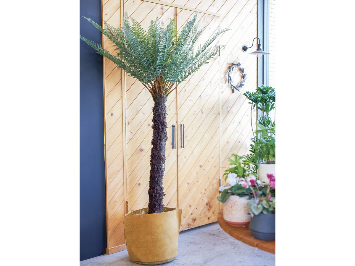 BROWN Dicksonia Pot / ブラウン ディクソニア ポット 183 （花器・プランター・グリーン > フェイクグリーン・フェイクフラワー） 2