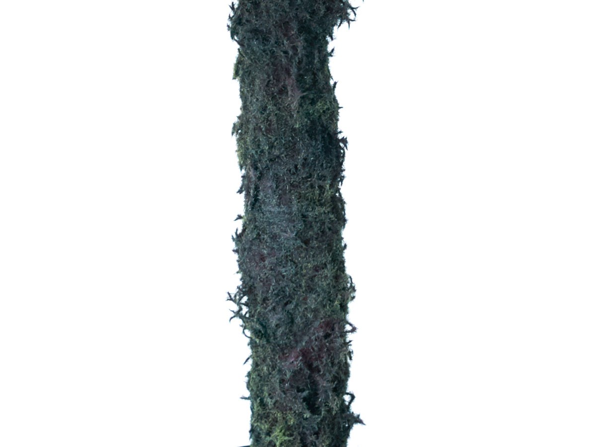 BROWN Dicksonia Pot / ブラウン ディクソニア ポット 183 （花器・プランター・グリーン > フェイクグリーン・フェイクフラワー） 9
