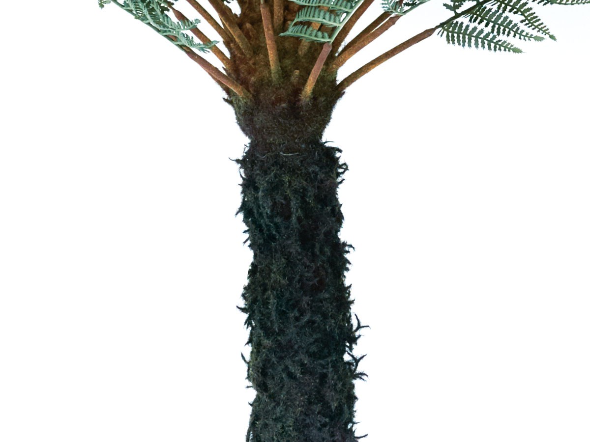 BROWN Dicksonia Pot / ブラウン ディクソニア ポット 183 （花器・プランター・グリーン > フェイクグリーン・フェイクフラワー） 8