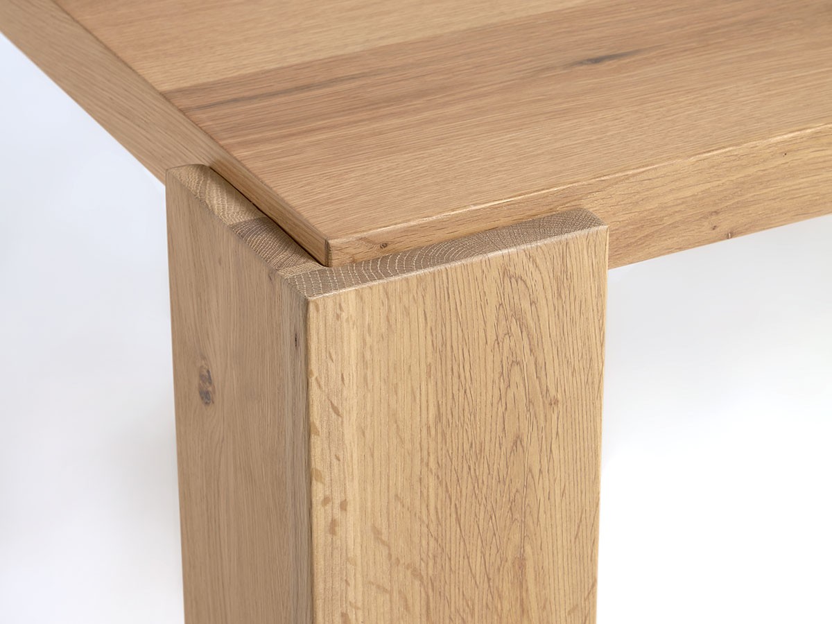 LaForma DEYANIRA / ラ フォーマ デヤニラ ダイニングテーブル （テーブル > ダイニングテーブル） 9