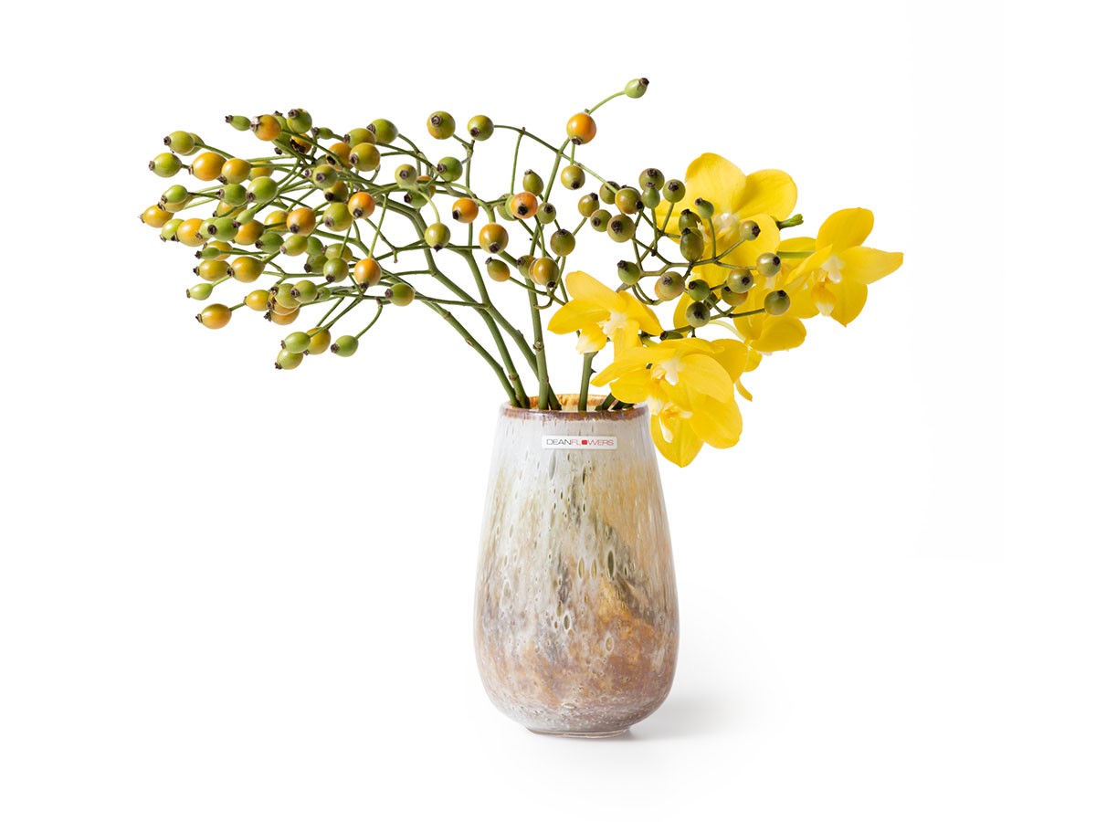 Henry Dean V.Stromboli XS / ヘンリーディーン V.ストロンボリ XS（スタンダードカラー） （花器・プランター・グリーン > 花瓶・フラワーベース） 2
