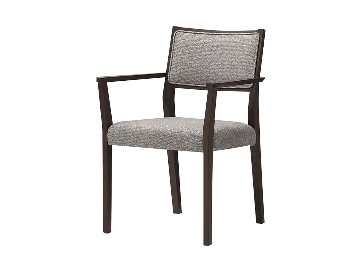 ABORD ARM CHAIR / アボール アームチェア W019A （チェア・椅子 > ダイニングチェア） 2