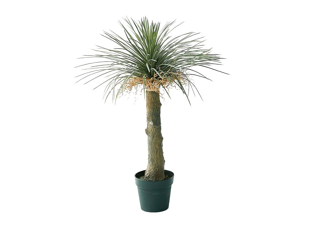 BROWN Yucca Rostrata Pot / ブラウン ユッカ ロストラータ ポット 94 (花器・プランター・グリーン > フェイクグリーン・フェイクフラワー) 1