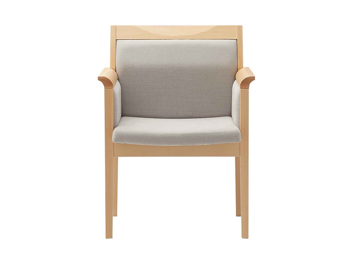 ABORD ARM CHAIR / アボール アームチェア W020A （チェア・椅子 > ダイニングチェア） 14