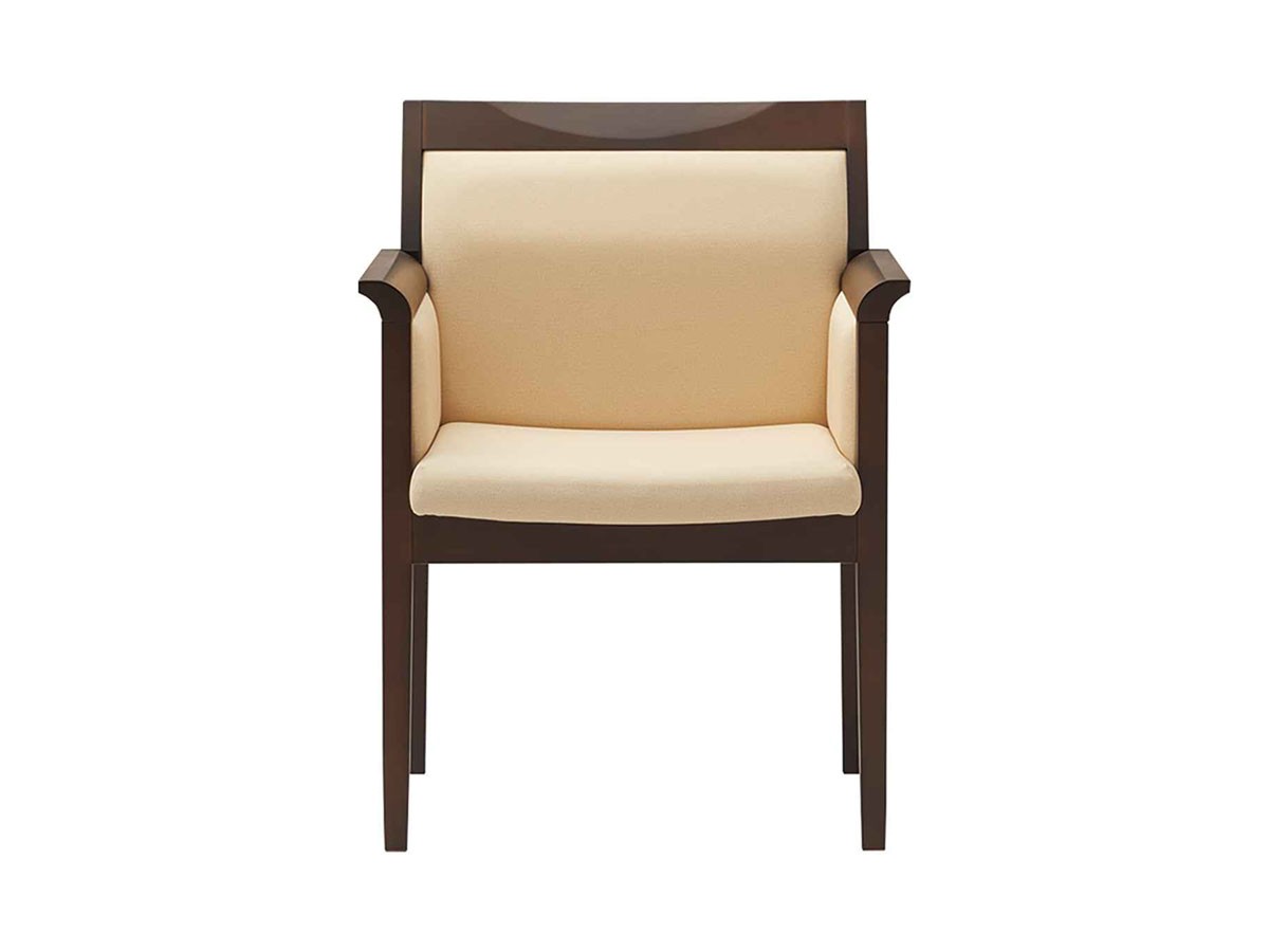 ABORD ARM CHAIR / アボール アームチェア W020A （チェア・椅子 > ダイニングチェア） 11
