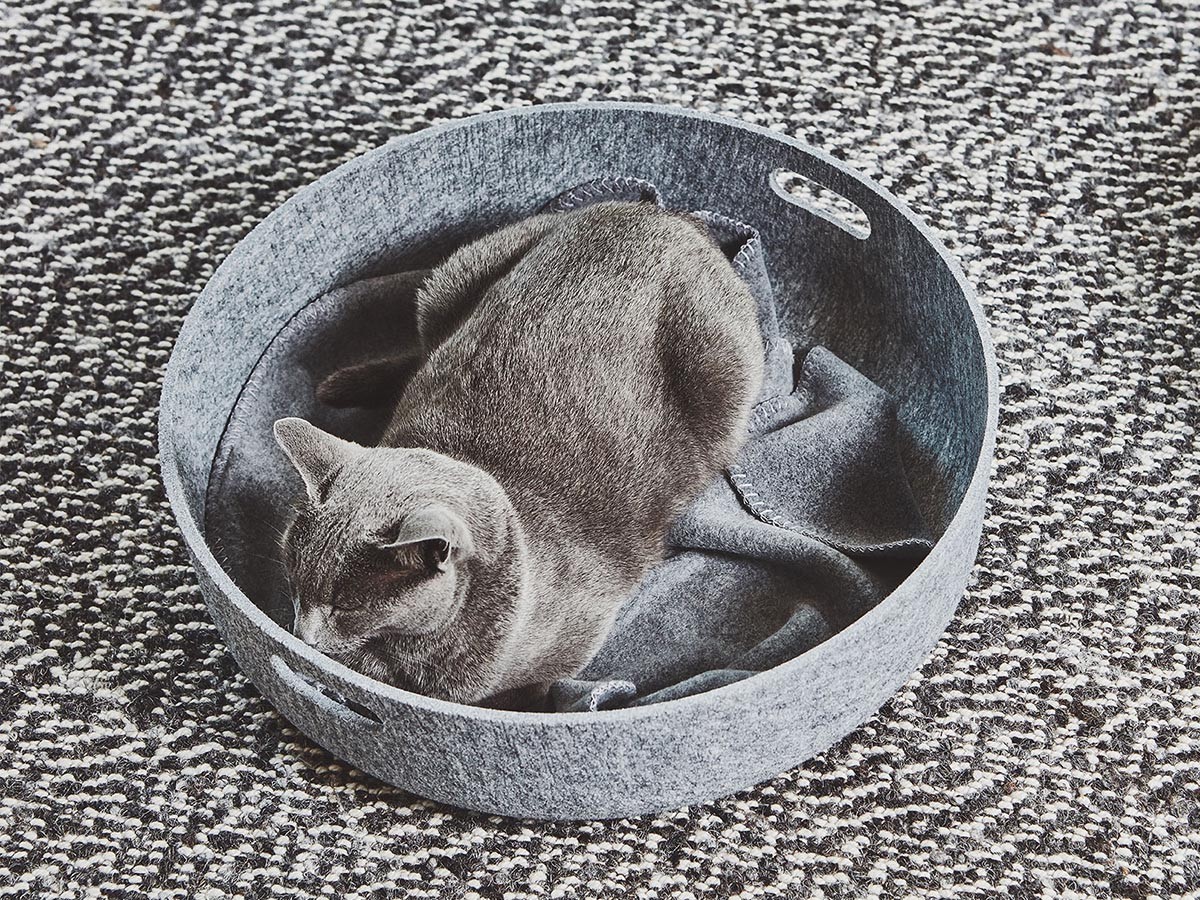 MiaCara Cesto Cat Basket＆Toy Basket / ミアカラ チェスト キャットベッド & トイバスケット （雑貨・その他インテリア家具 > ペット用品・家具） 11