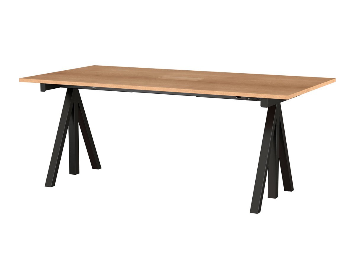 String Furniture Works Sit-stand Meeting Table / Electrical / ストリングファニチャー ワークス 昇降式ミーティングテーブル オーク天板 （テーブル > 昇降式テーブル） 1