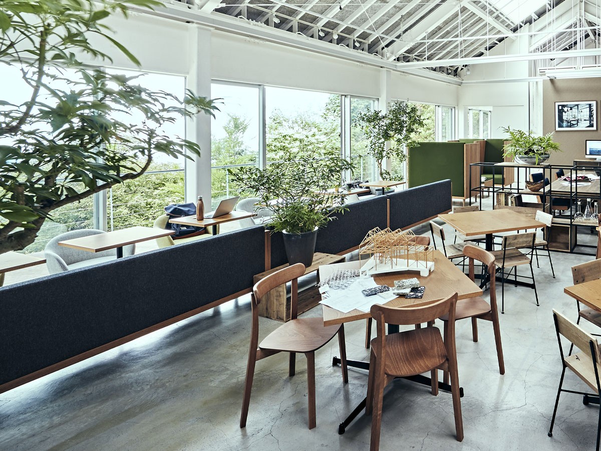 Coccole 3P SOFA / コッコレ 3人掛けソファ C415-3 （ソファ > 三人掛けソファ） 8