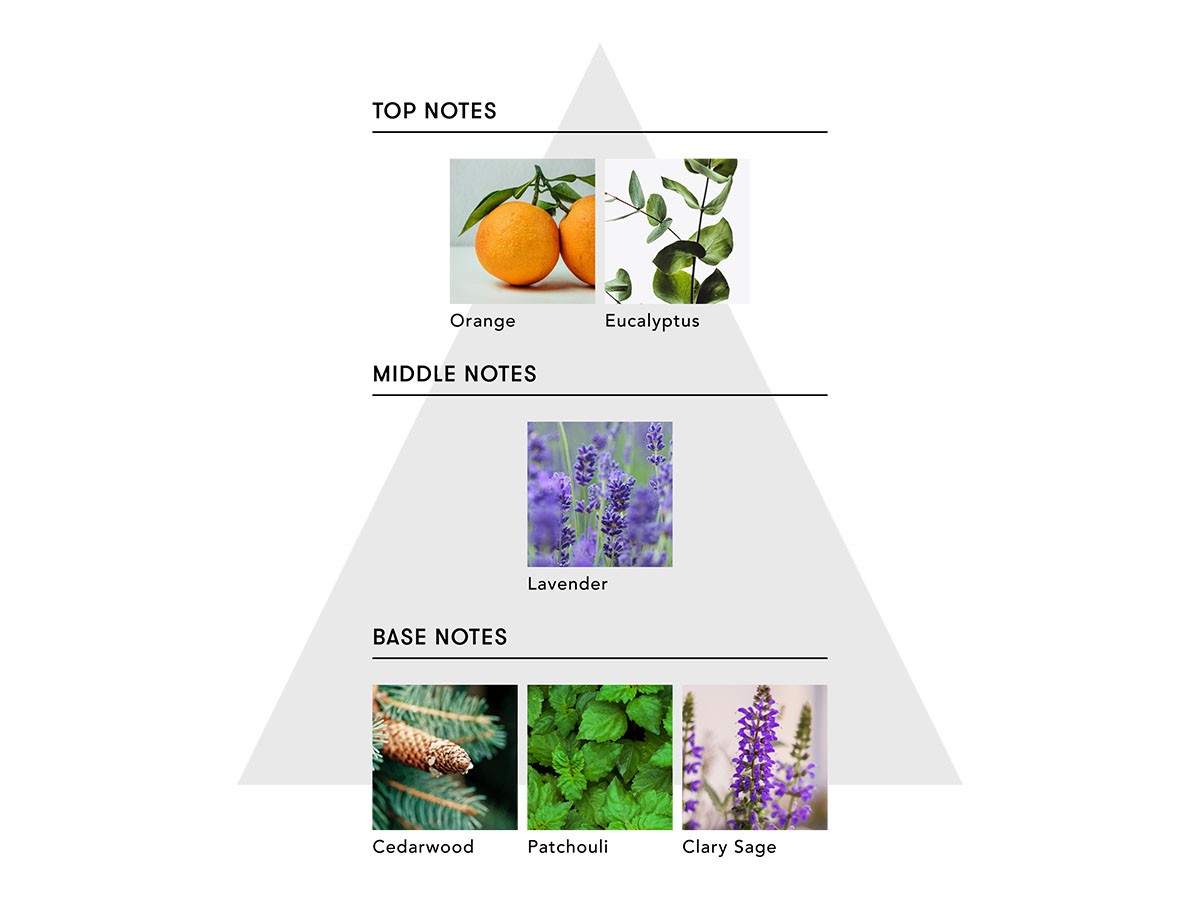 SINN PURETE MINDFUL FRAGRANCE / シンピュルテ マインドフル フレグランス ノンアルコール
Purification of Mind / 心の浄化 （インテリア雑貨 > ルームフレグランス） 6