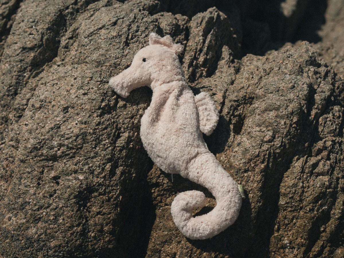 SENGER Naturwelt Cuddly Animal Seahorse / ゼンガーナチュウェルト