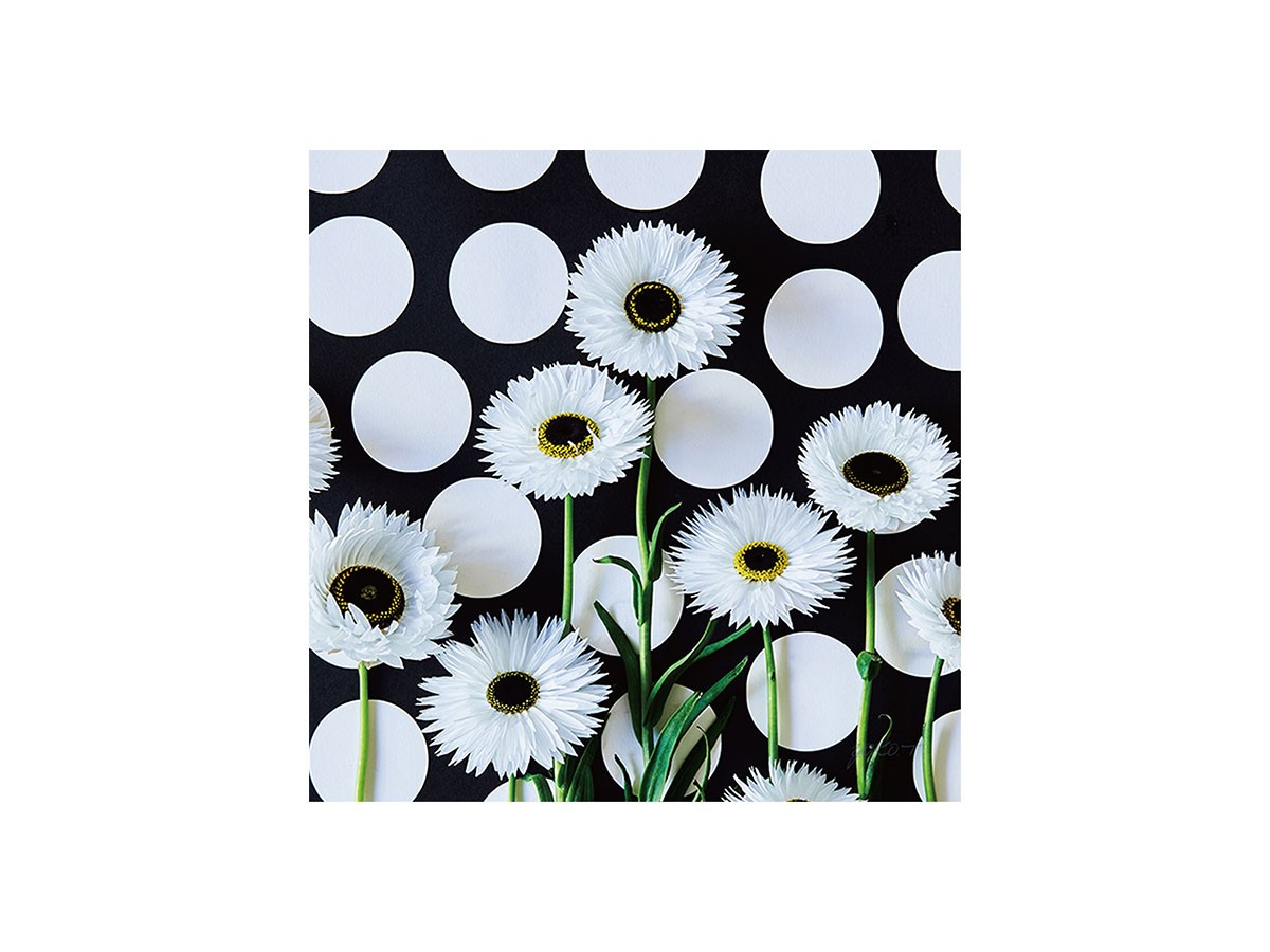 Geometric Polka dot Pierrot