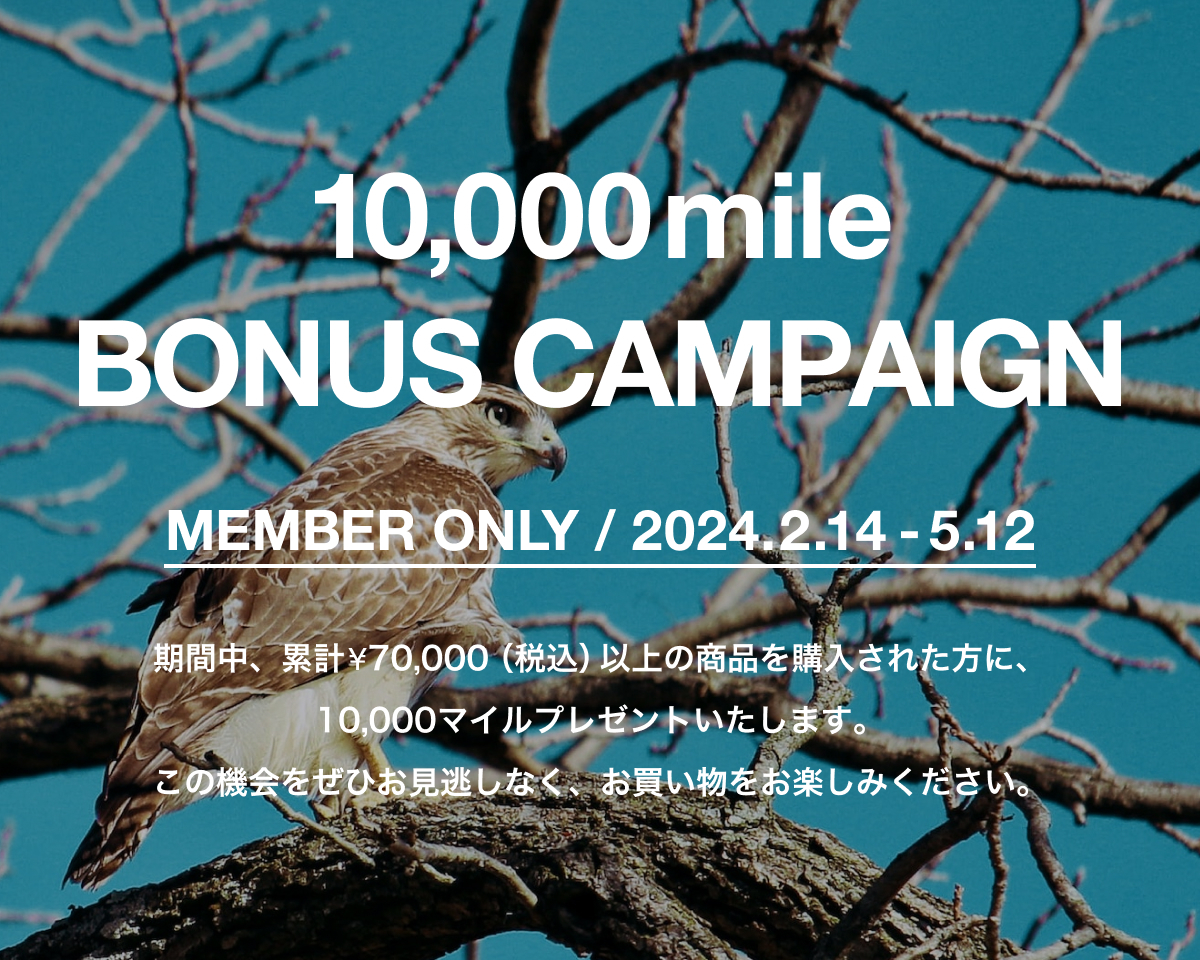 10,000マイルボーナスキャンペーン